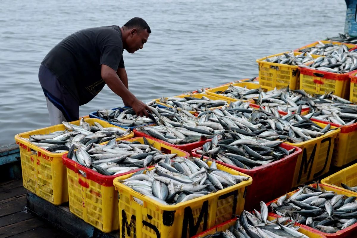 Report: Migrant Fishers Accuse StarKist Suppliers of Using Forced Labor