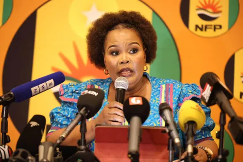 Shinga’s appeal puts Barnes’ KZN MPL swearing in on hold