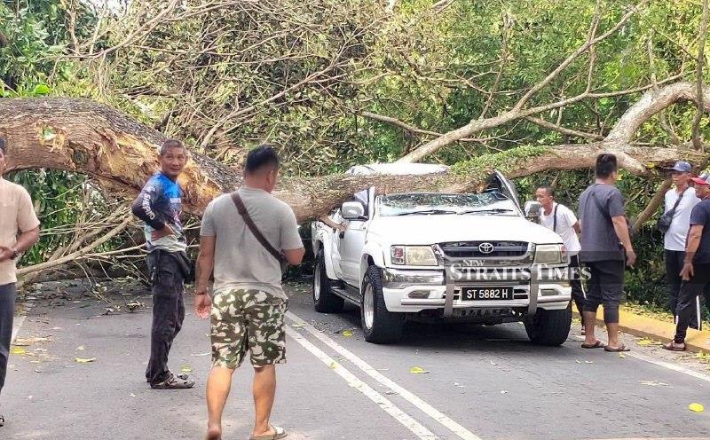 4WD badly damaged after tree falls on vehicle in Tuaran