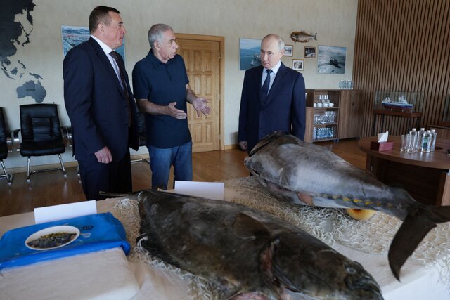 On the campaign trail for United Russia, Putin kicks a soccer ball, admires giant halibut, and dons a sailor’s uniform