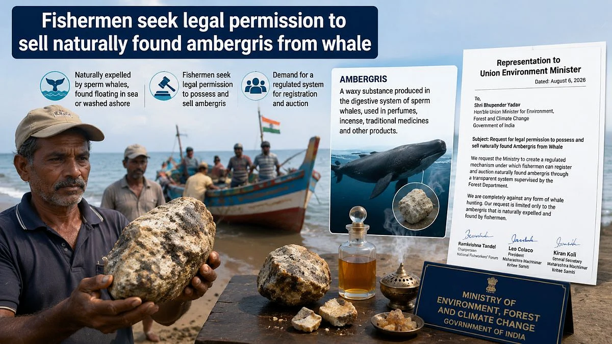 Mumbai: Fishermen Seek Legal Framework To Sell Naturally Found Ambergris Without Harming Whales