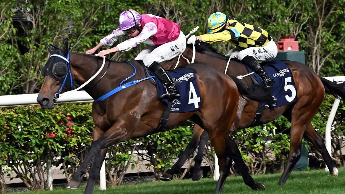 Pune Racing: Foxy Holds Edge In Eau De Vie Plate After Radha Sigtia Trophy Victory