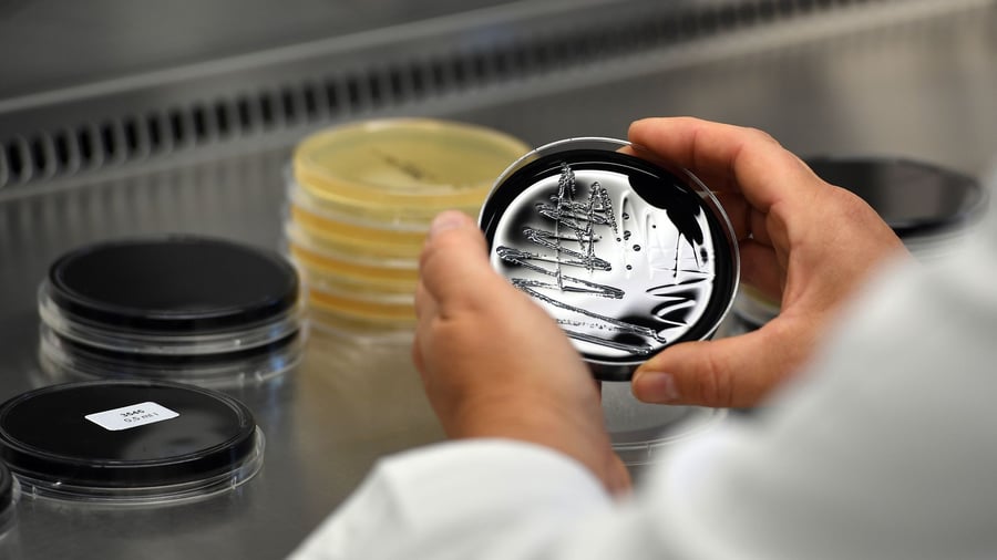 Legionnaires' disease: Germs in cooling tower: 26 residents in Switzerland ill, 1 dead