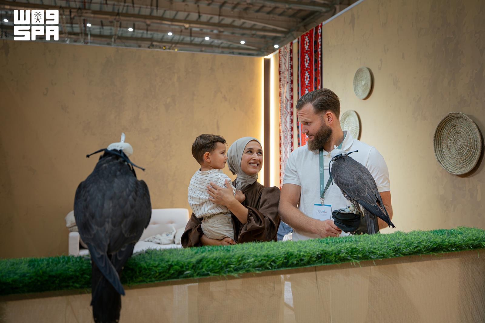 Dutch falcon breeder returns to Saudi international auction after learning Arabic in Madinah