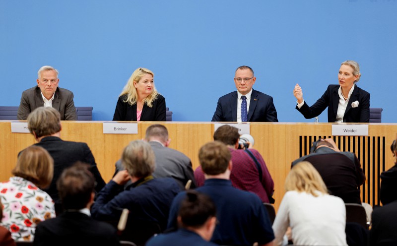 AfD predicts Merz's exit as German chancellor faces mounting pressure
