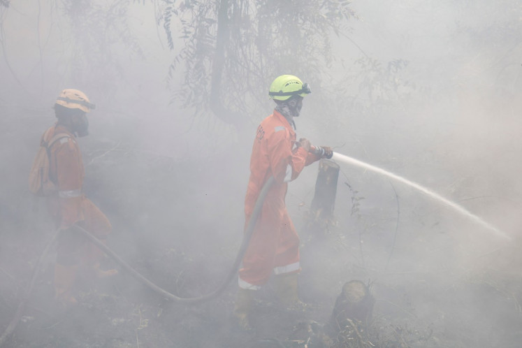 Indonesia doing 'everything' but struggling to curb fires