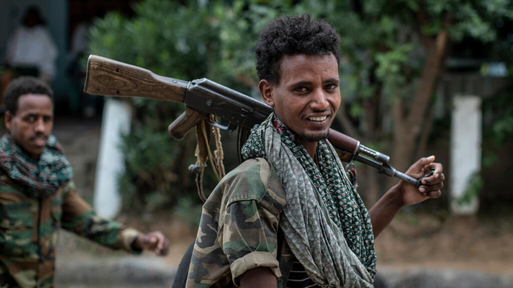 Seven of Ethiopia's armed groups announce anti-government alliance