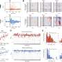 Whole-brain activity may better predict variations in stimulation responses