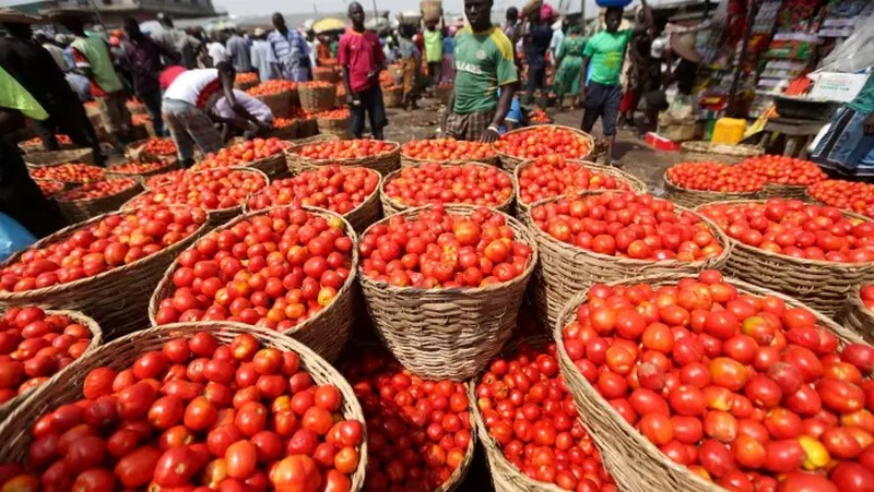 Mahama announces plans to rehabilitate Pwalugu tomato factory