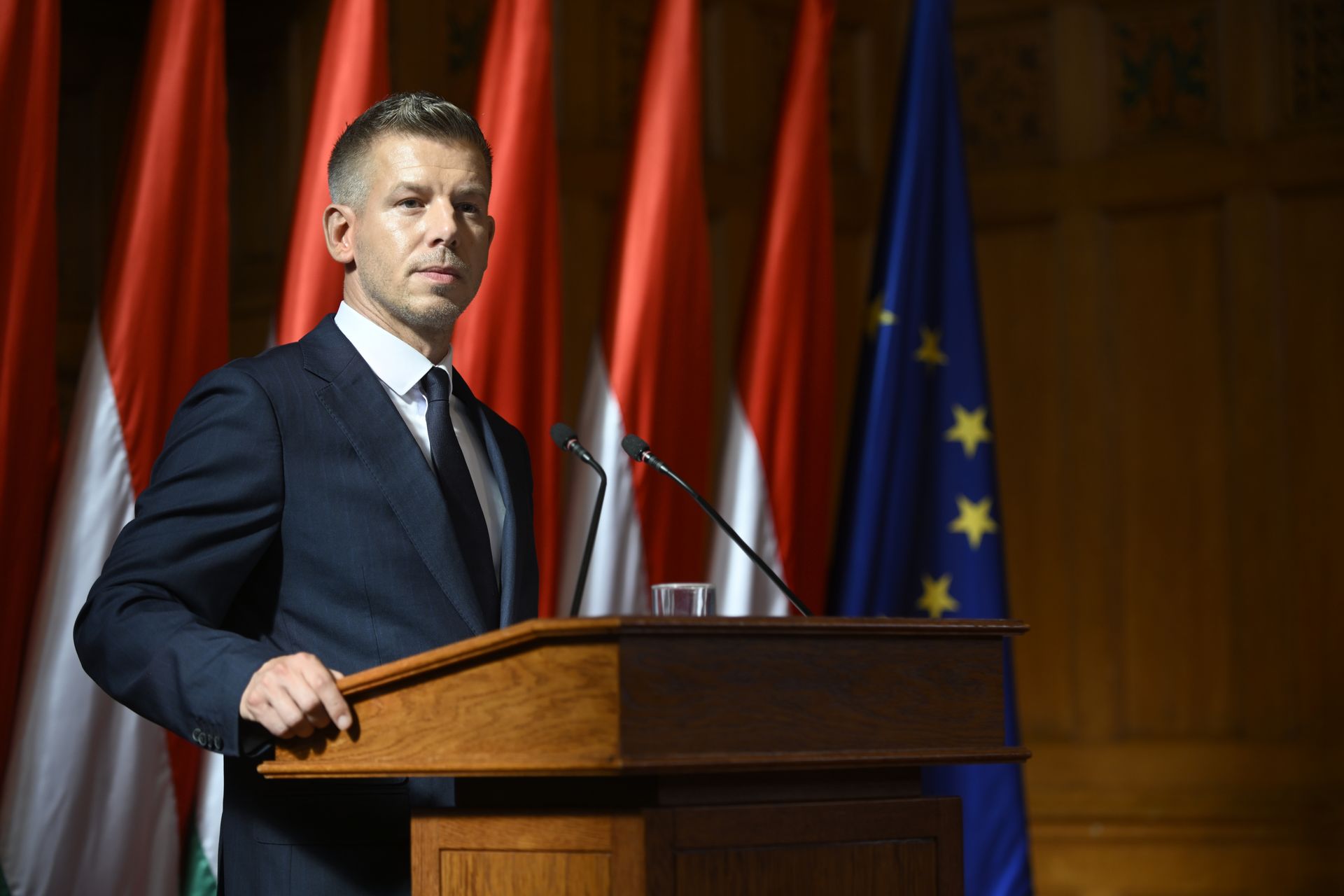 Hungary not part of Ukraine's Carpathian initiative, Magyar says