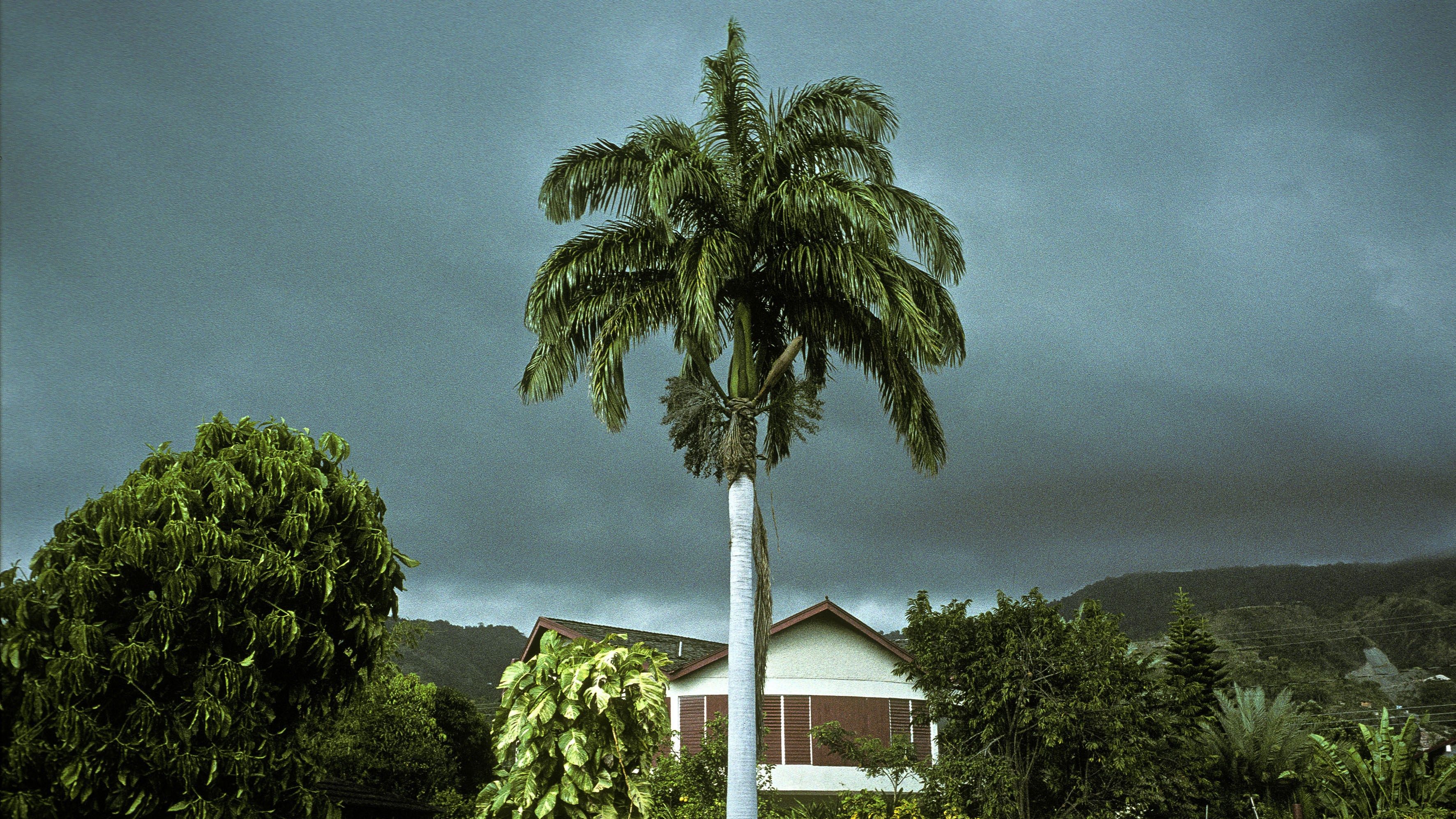 A Bleak, Violent Novel’s Unexpected Delights