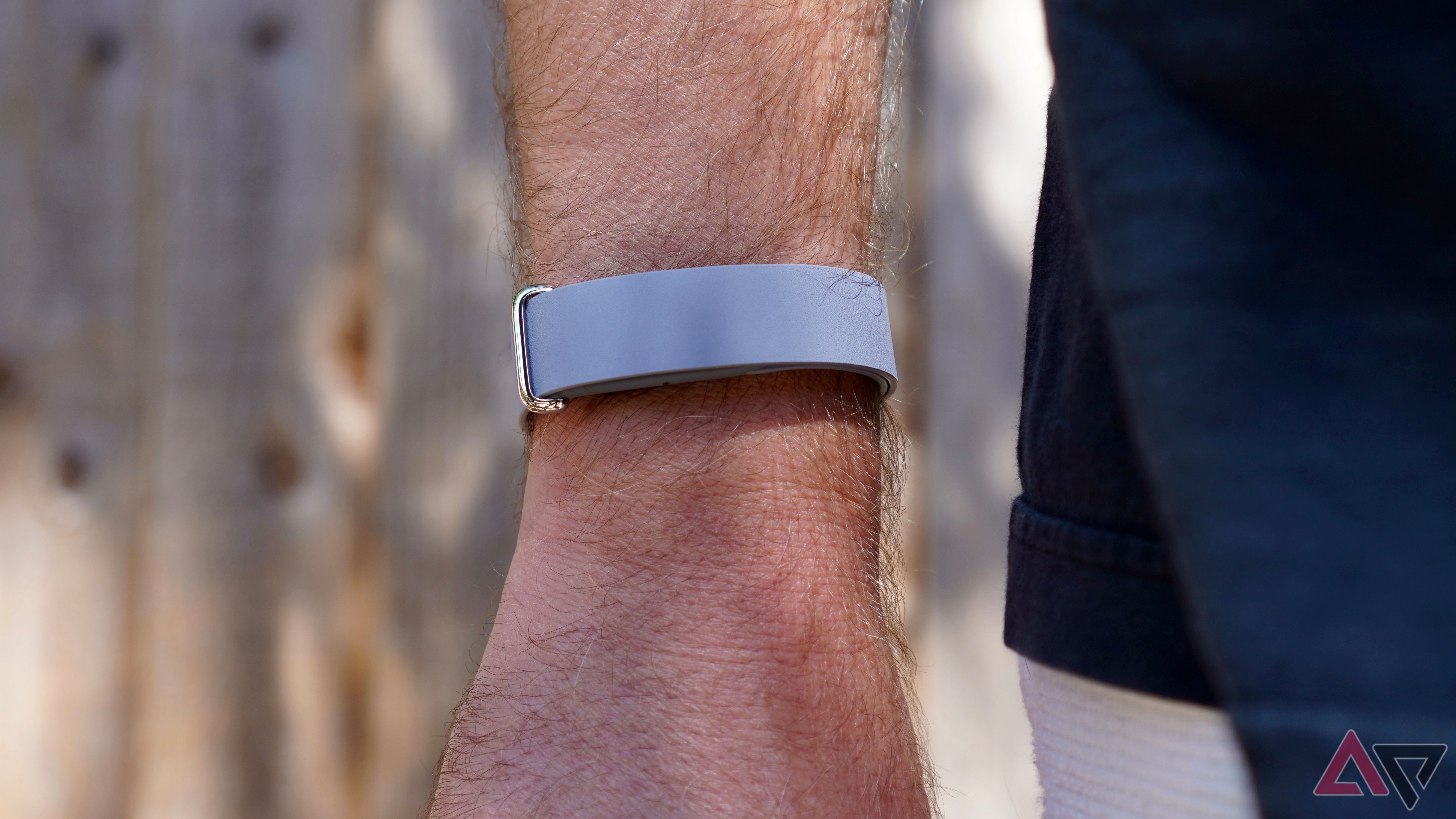 I spent $50 on the Fitbit Air's fancy band. It's a shocking case of style over substance