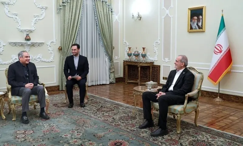 Naqvi meets Iranian counterpart, president; Tehran lauds Pakistan's efforts for regional peace