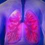 Drug that targets an inflammatory enzyme could help prevent lung cancer
