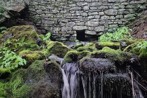 Old Route 5 Stone Wall in Nova Scotia