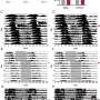 A new way to beat jet lag? Engineered cells speed circadian adjustment