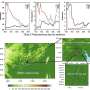 X-band radar data sharpen simulation of westerly weak tornado