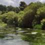 Q&A: What are chalk streams and why are these rare rivers under threat?