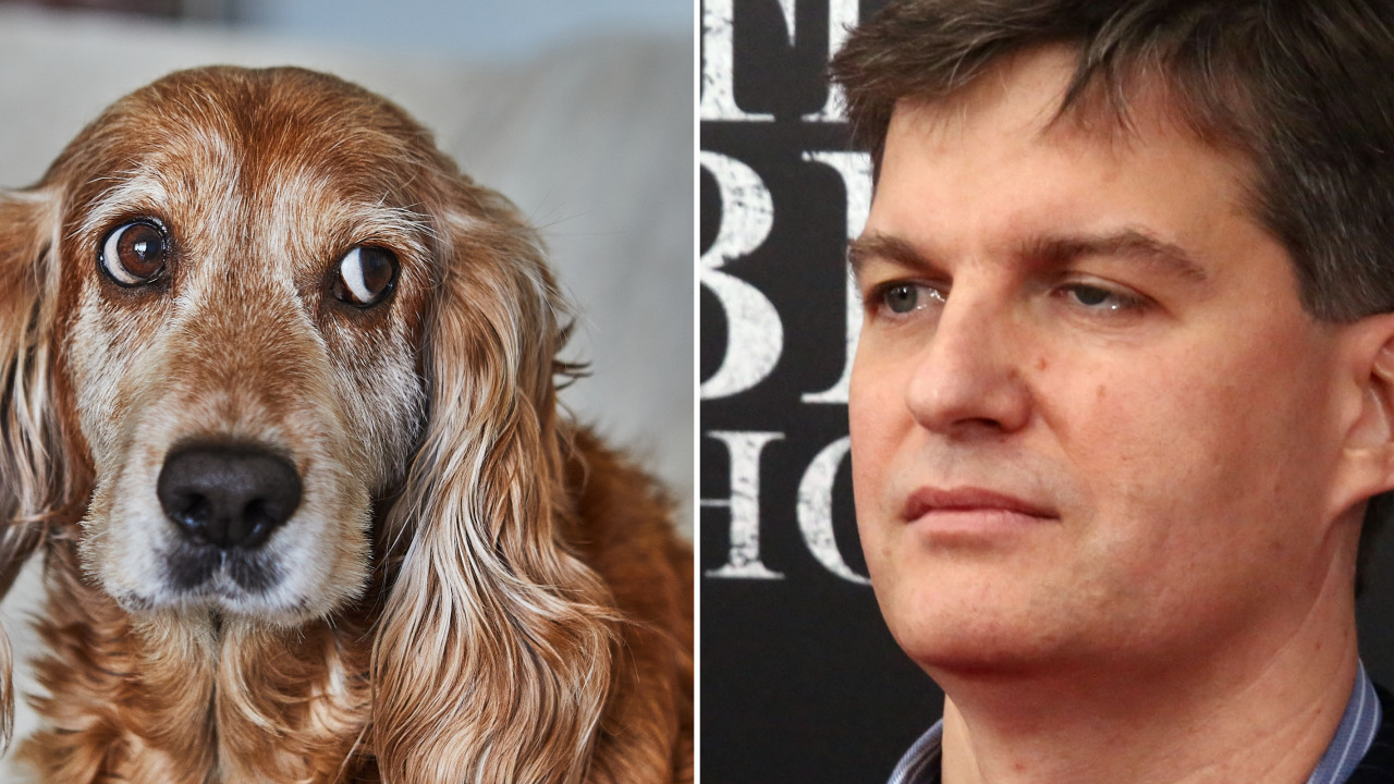 Michael Burry says he only invests in ‘three-legged dogs’ — though five legs would be even better
