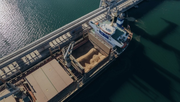 Ukraine sanctions 13 vessels, 28 companies over illegal grain exports