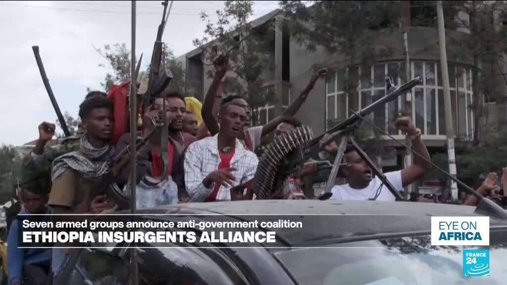 Ethiopia's main armed groups form anti-government alliance