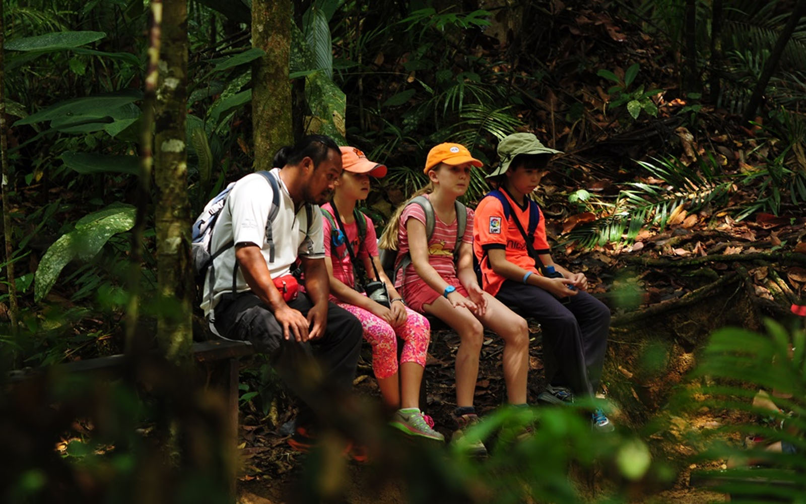 Invest in ecotourism as alternative to logging, 4 state govts told