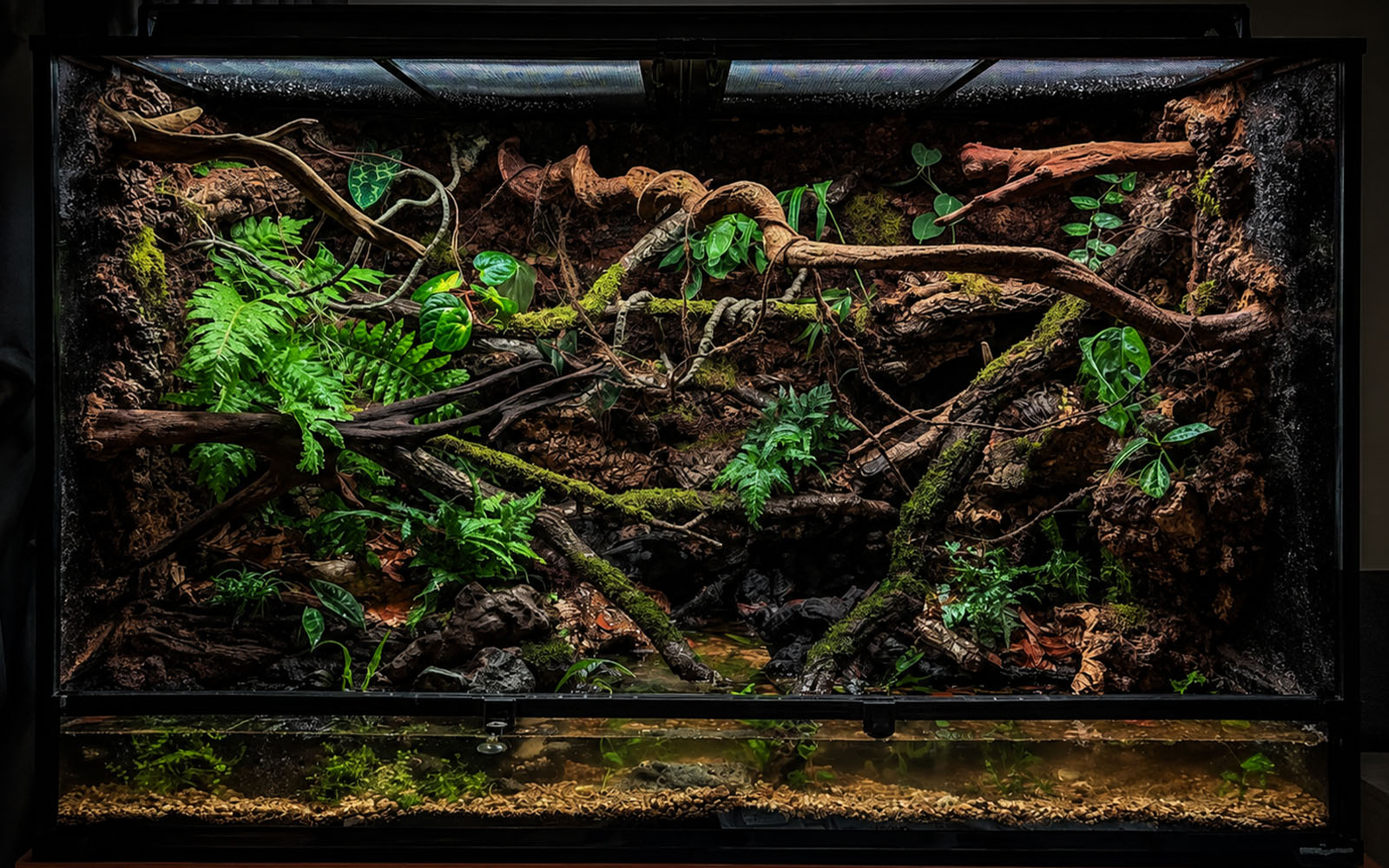 Creating wild and wonderful worlds behind glass