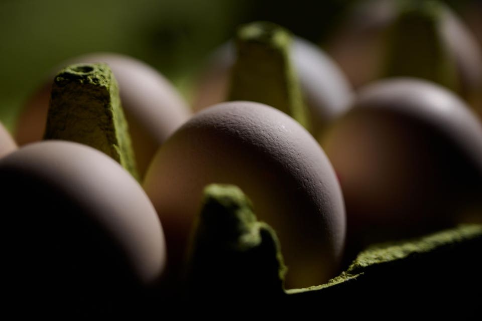 1.5 Million Egg Cartons Recalled—Alert Receives High Risk Designation From FDA