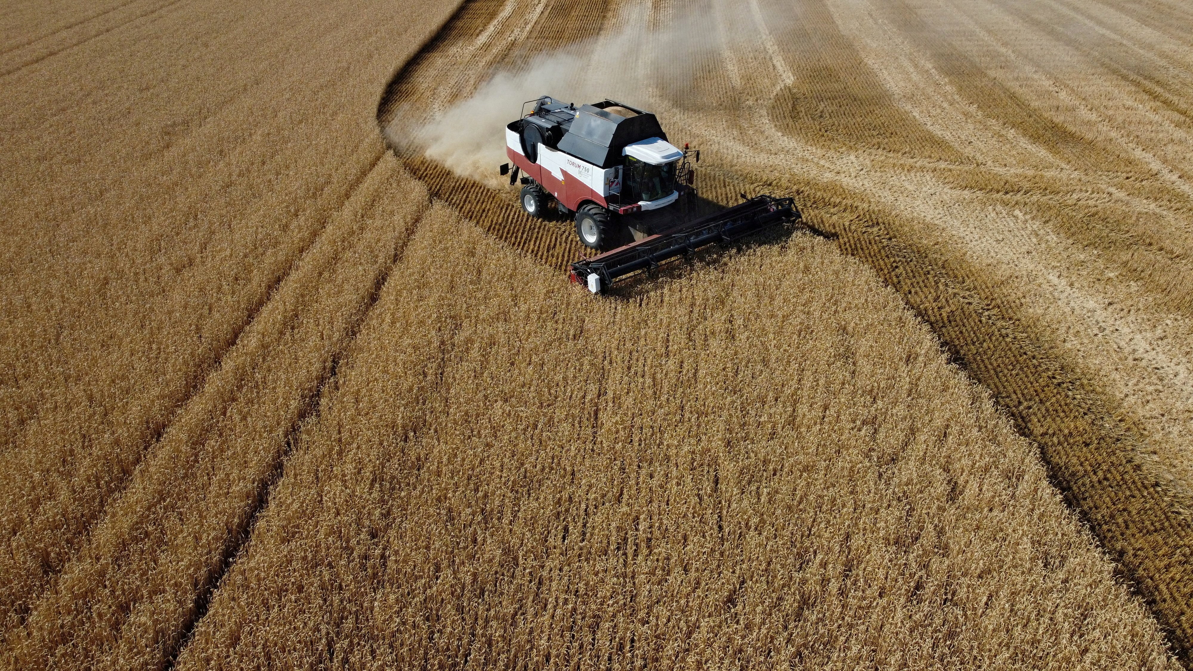 From Wales to Hormuz, the world's food system is running out of road