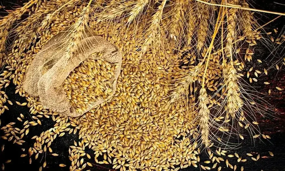 TCP finalises deals for wheat import