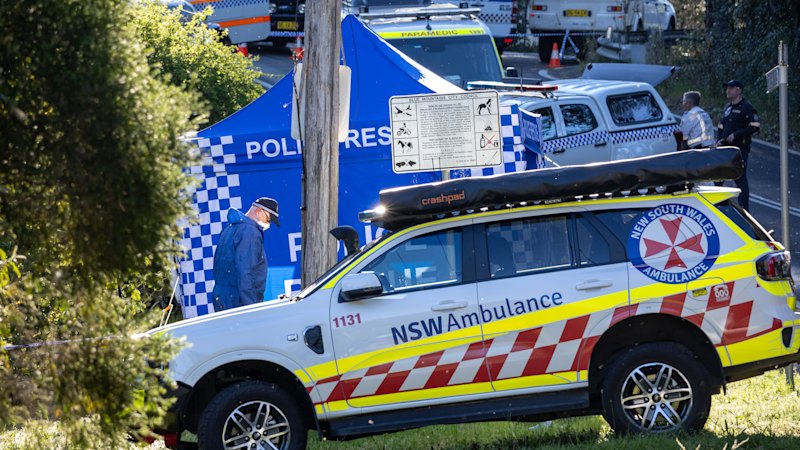 Mother charged over Blue Mountains stabbing attack on children