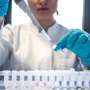 Unlocking the past: New method helps gain insights into old tissues