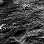 Engineered microbe speeds CO₂ capture and recovers critical metals