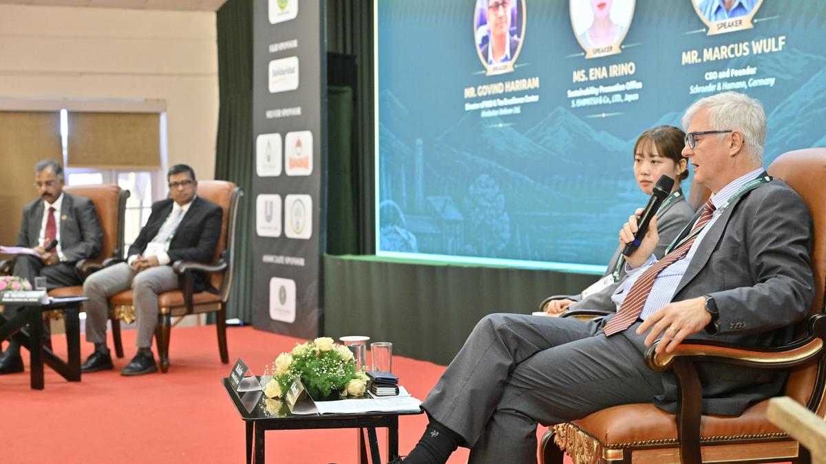 Experts call for promotion of premium teas