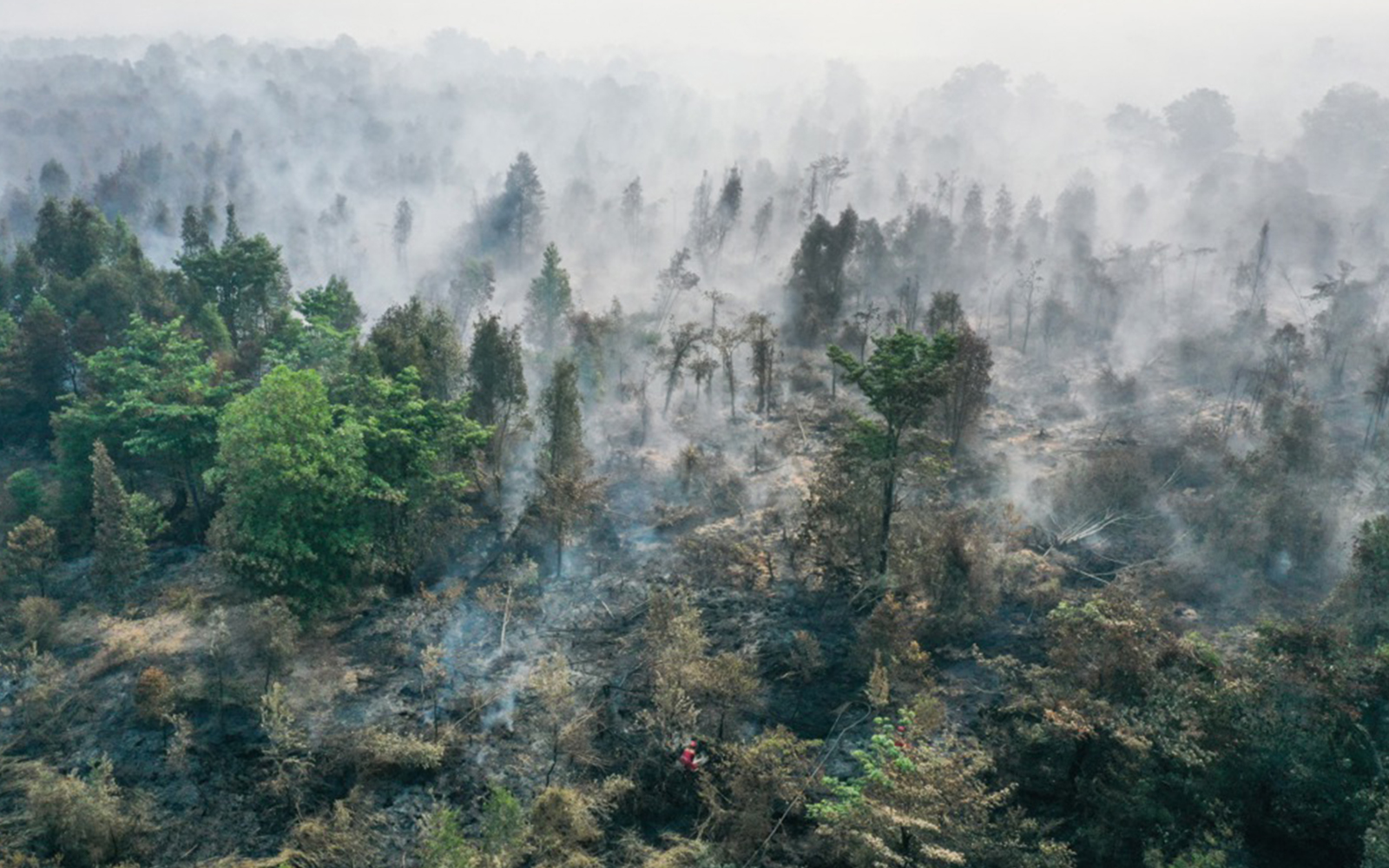 Indonesia forest fires may continue till early October