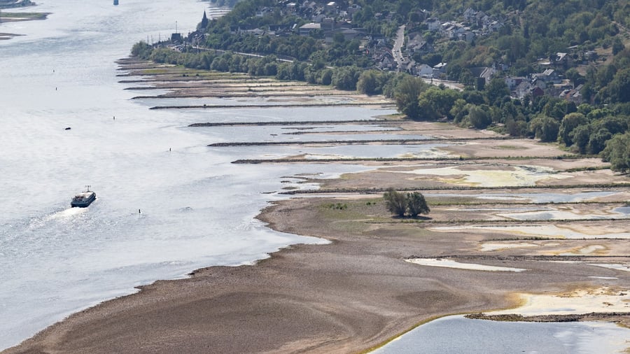 Transportprobleme: Niedrigwasser: Ökonomin Grimm sagt steigende Preise voraus