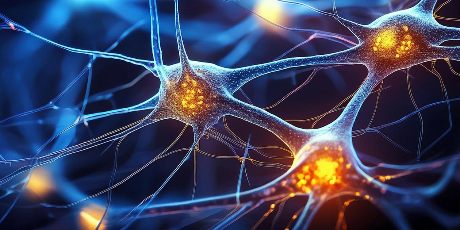 Fluid brain circuits drive the formation of cocaine habits