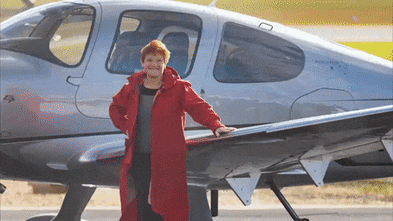 One Nation got a ‘sexy’ new plane this year. What happened to the old one?