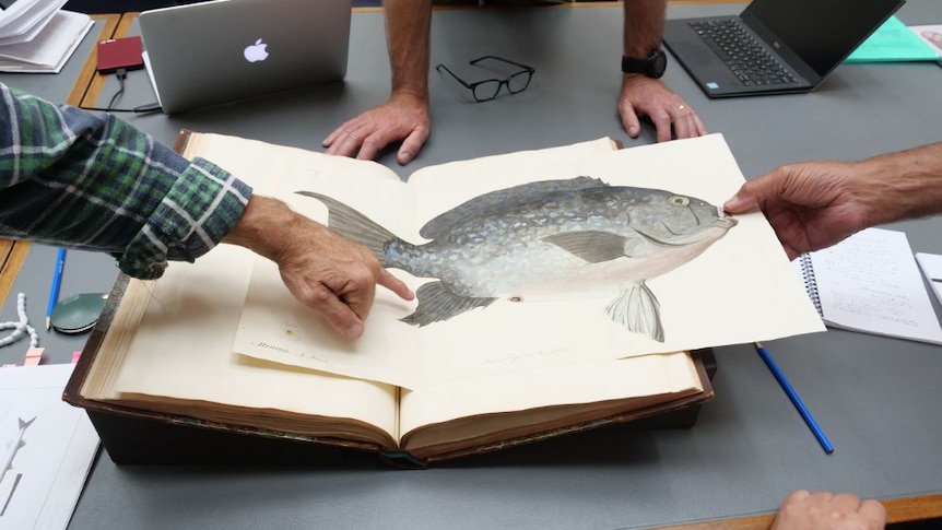 Artefacts from across the globe returned to southern WA