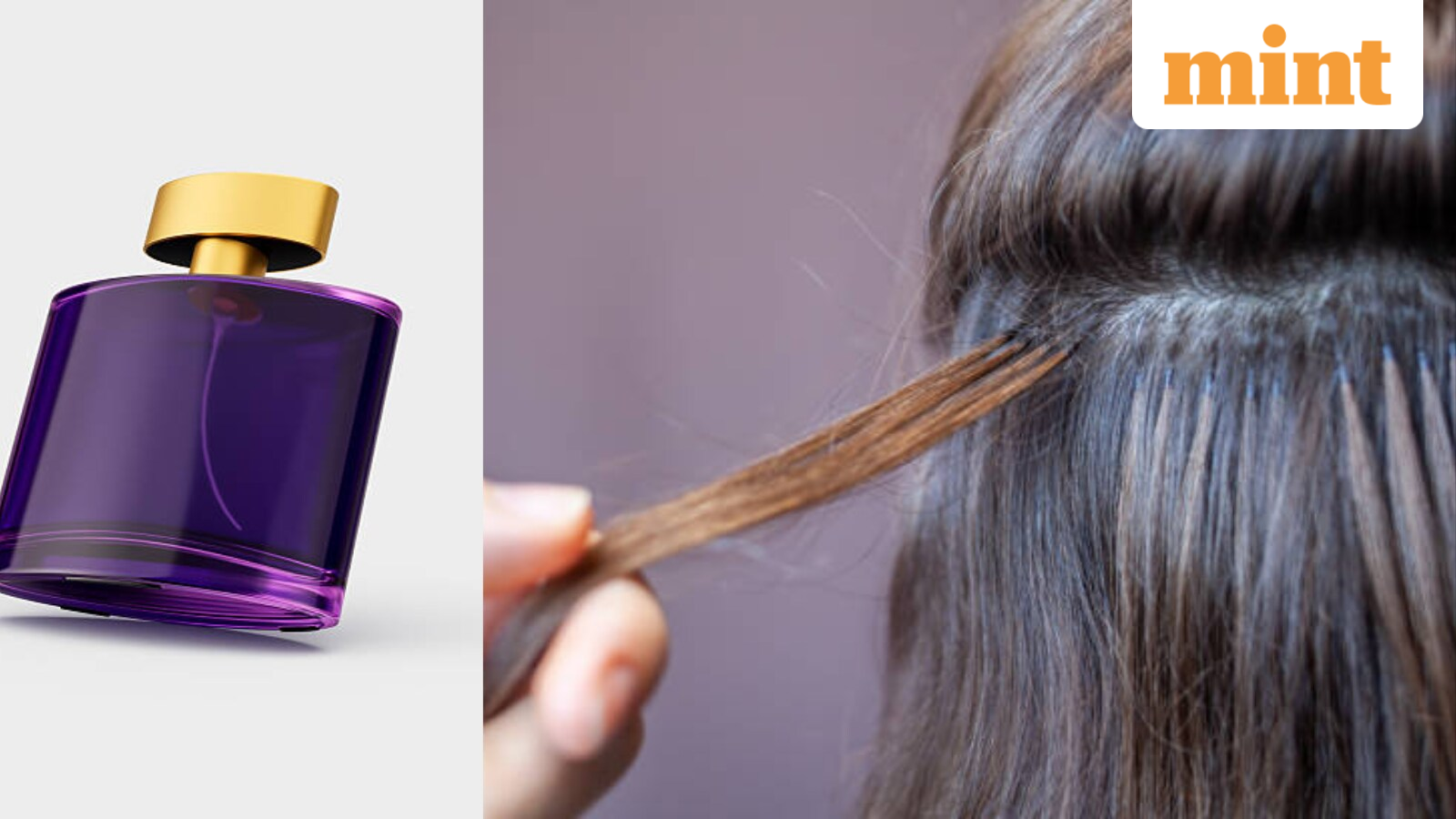 Iran's 'survival economy': Families sell empty perfume bottles, natural hair for income