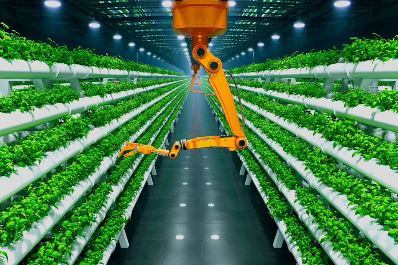 How turning electricity directly into food could help save the planet