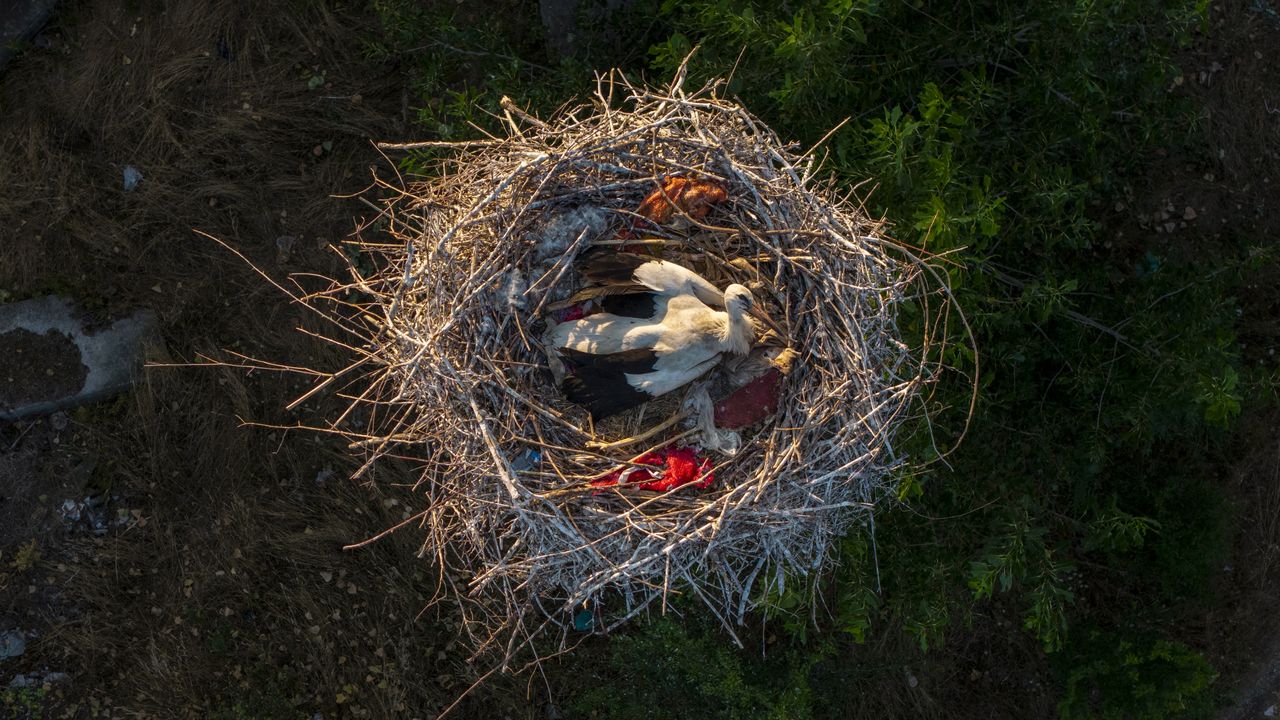 Woah! These unusual photographs prove the power of perspective is about more than just camera angle