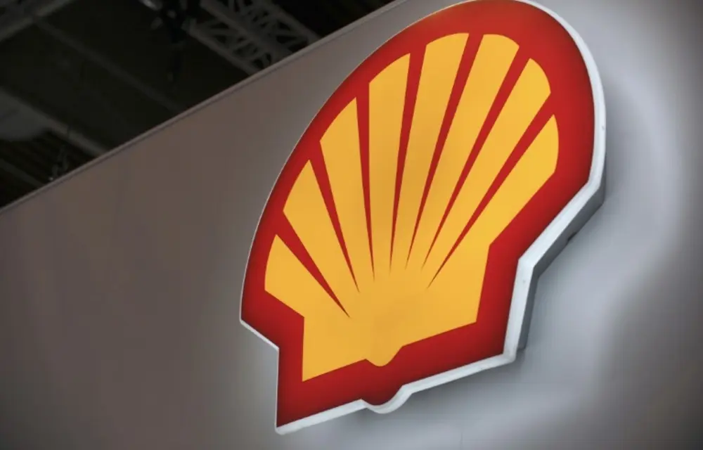 ‘People over profits’: Constitutional Court deals blow to Shell’s Wild Coast plans