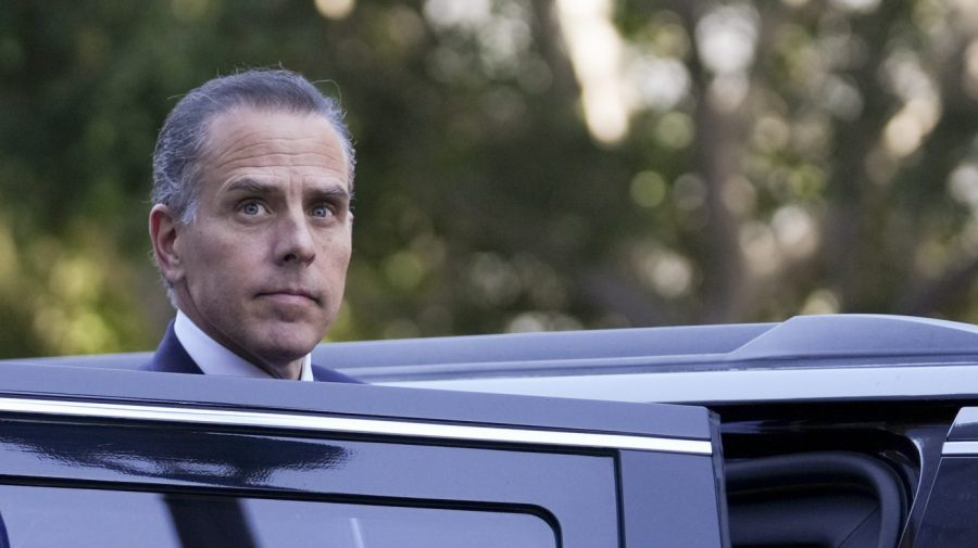 Hunter Biden responds to GOP senator's request: 'I'll sit next to Don Jr. and testify any time'