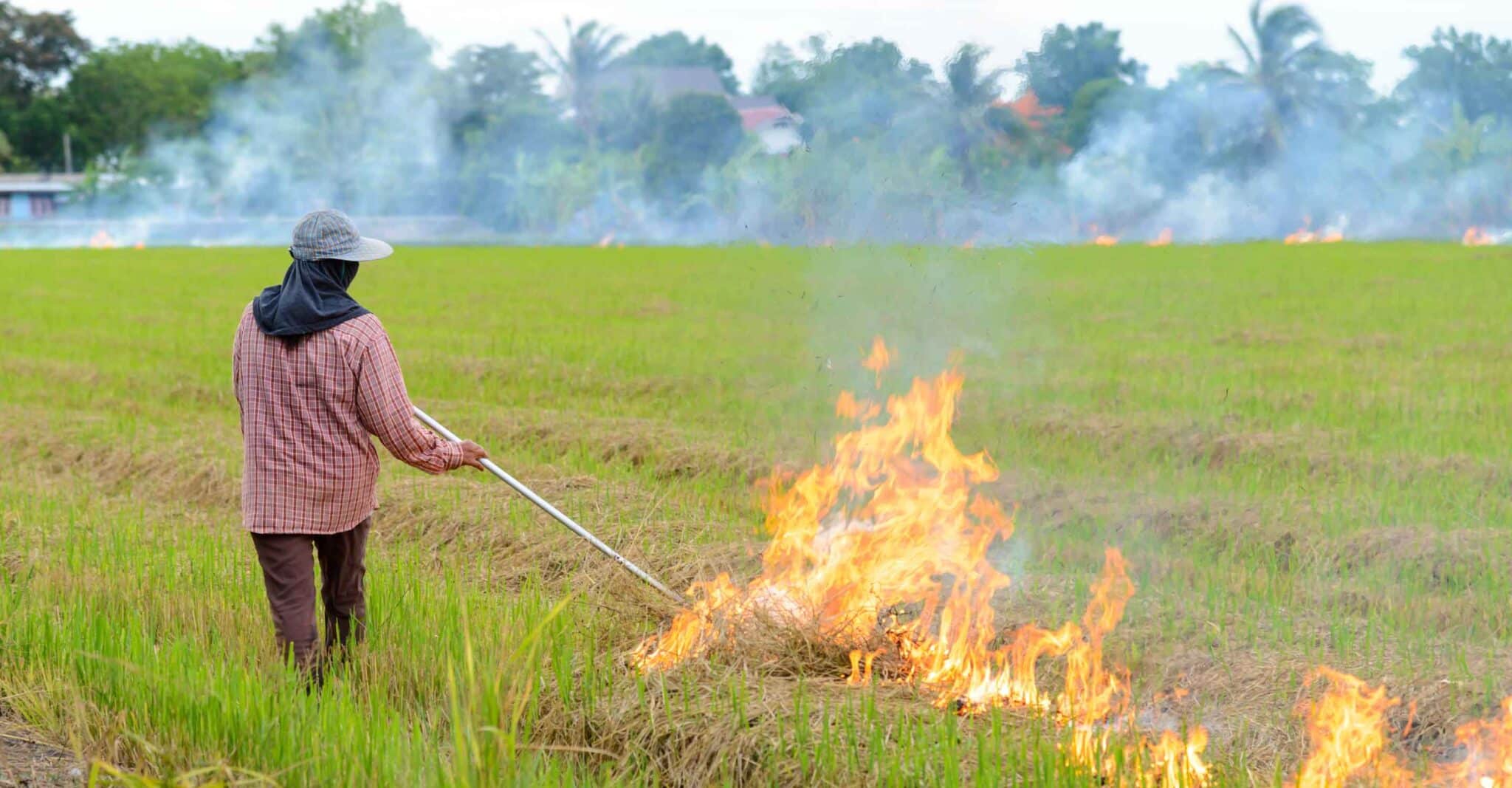 Chiang Rai Burning Season: When It Starts, AQI Levels, and How to Prepare