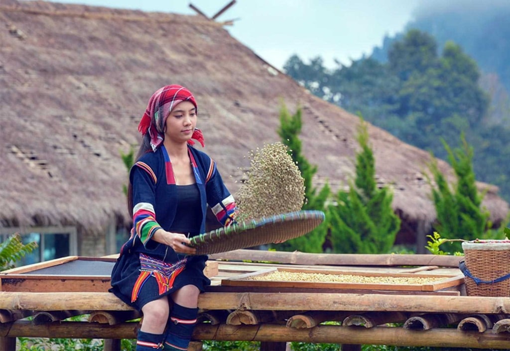 Visiting Doi Chang Chiang Rai: A Guide to Thailand’s Highland Coffee Region