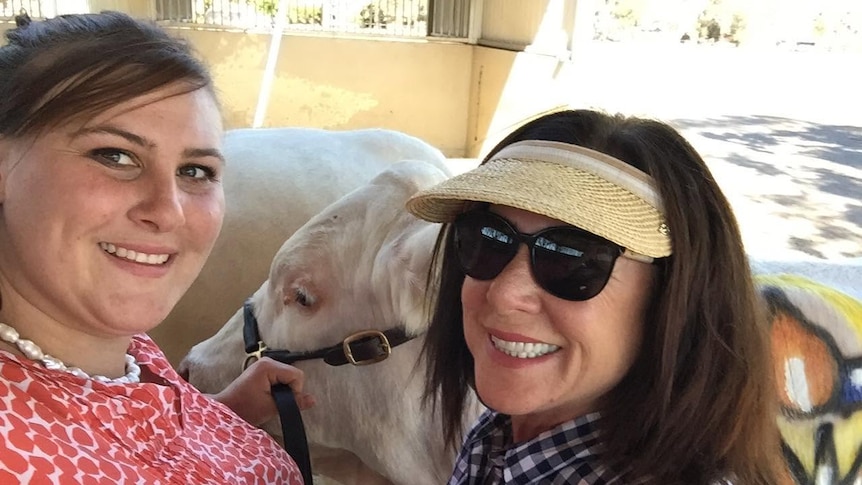 Daughter sues mum over former mining exec's $30 million farm inheritance