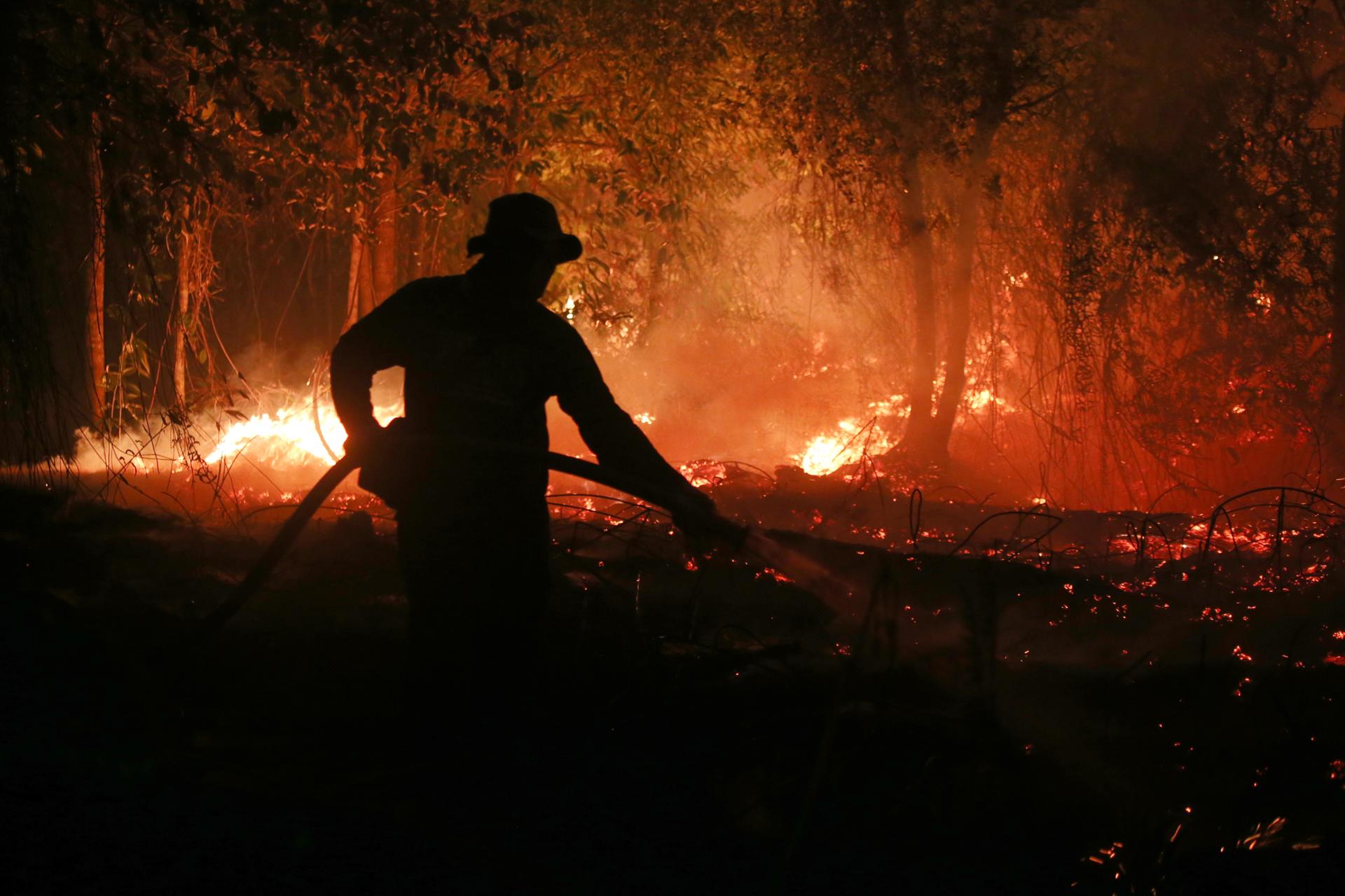 El Nino-driven record heat could lead to 451,000 more deaths, group says