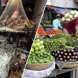 Fish, meat prices largely unchanged, vegetables, eggs ease