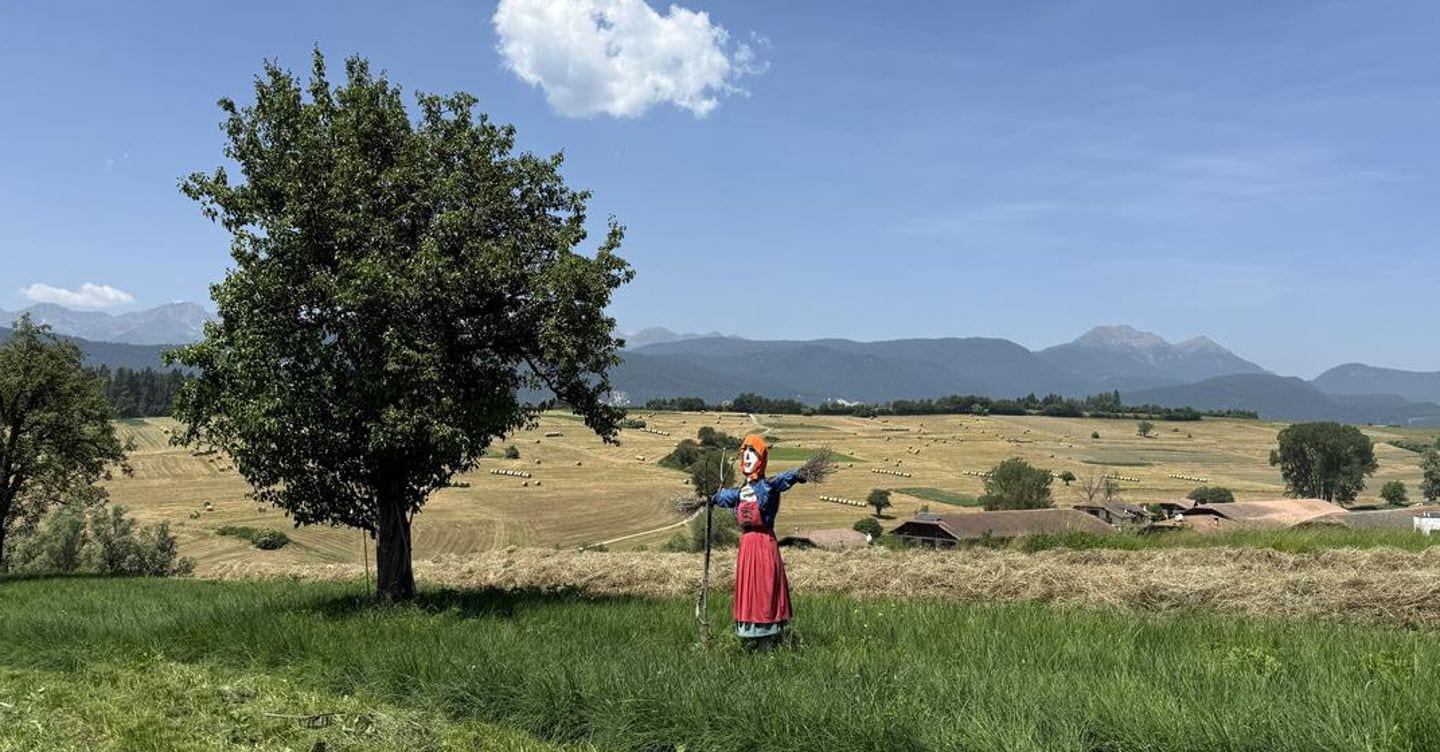 Ricambio generazionale e innovazione, nuove risorse all’agricoltura